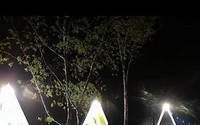 The Mangrove